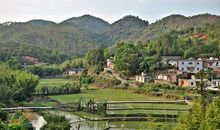 最吸引我的乡村美景