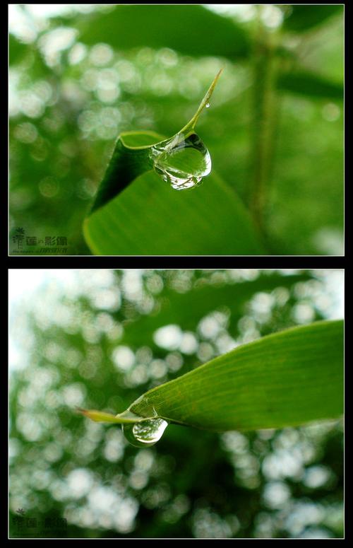 雨滴