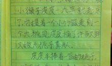 看图写话盖好井盖