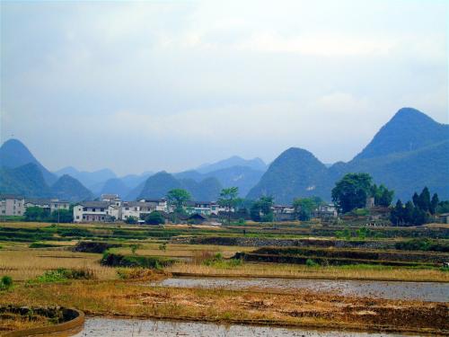 乡村风光
