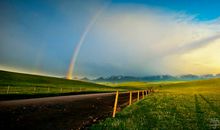 不经历风雨怎么见彩虹