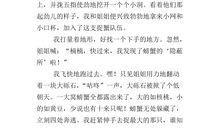 四年级作文捉蚊趣事