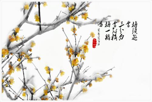 苏梅岛灵魂
