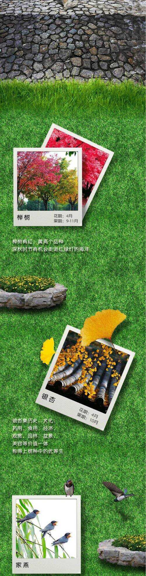 游春吉