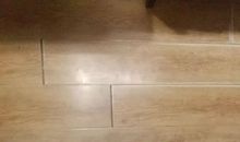 观察土豆发芽日记