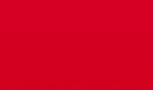 生活中处处都有美