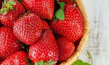 观察小草莓的成长