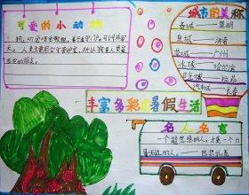 丰富多彩的夏日生活