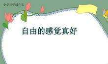 关于自由的作文