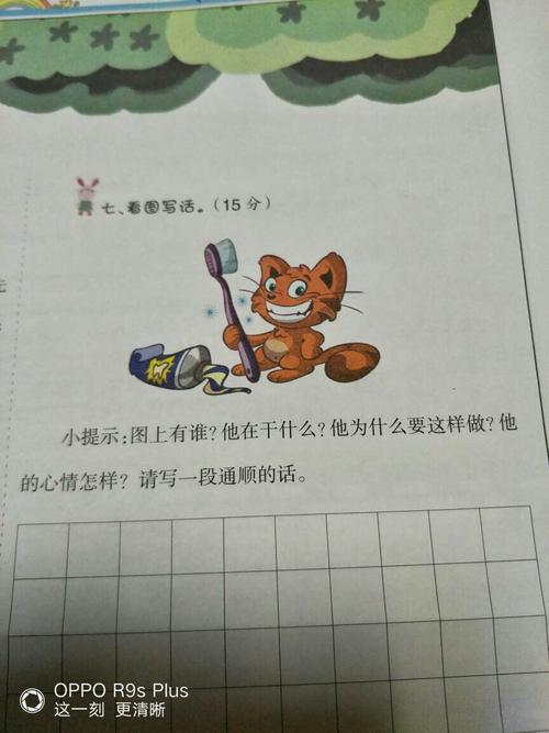 看照片写关于小猫破镜子的事