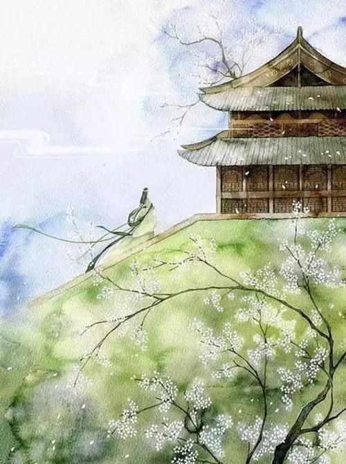 清情紫金