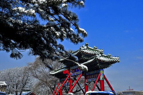瑞雪