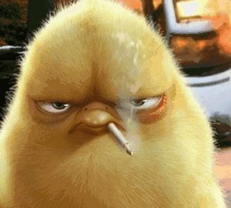 哈哈我是