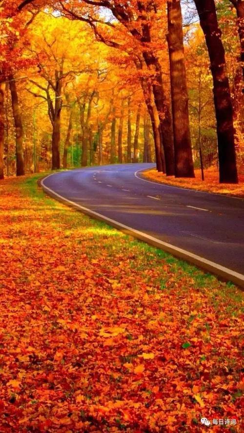 走在金色的秋天