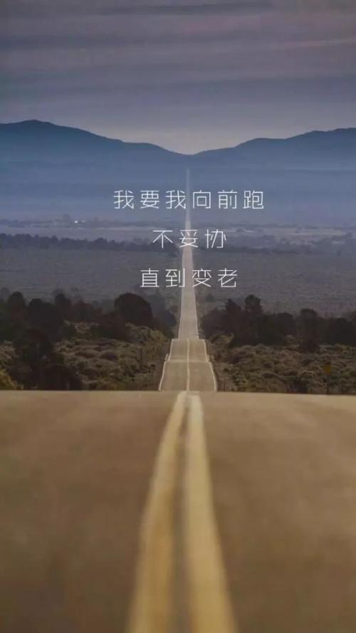 愿景决定模式
