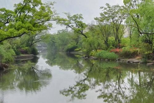 雨后走