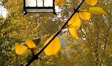 那一段与你亲密接触的时光