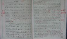 我学会了什么的作文250字