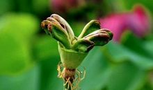 细品人生路上的缱绻友谊之光