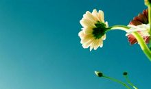 五彩缤纷的世界