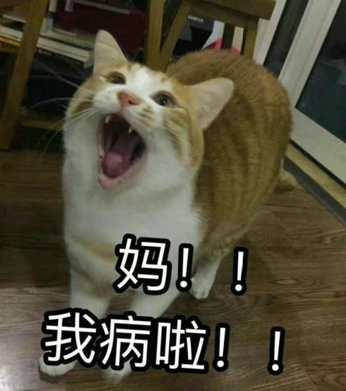 妈妈我离不开你