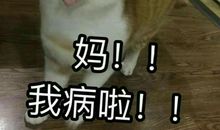 妈妈，我不能没有你