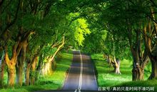 街边的一道风景