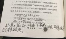 农场疑案读后感