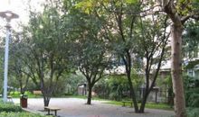 小区环境大调查