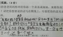 关于二胎的作文