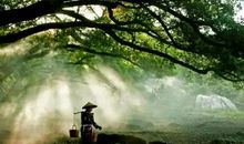 量力而行择优为之