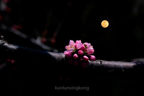 花满月