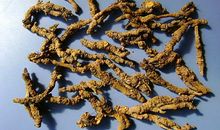 哑巴吃黄连，有苦说不出