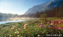 那处风景真美丽