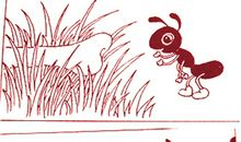 看图写话蚂蚁搬骨头