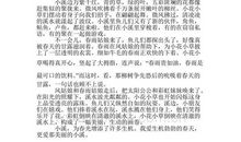 写小溪的作文