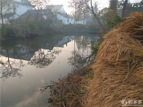 再见清清河