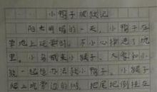 小鸭子历险记200字作文
