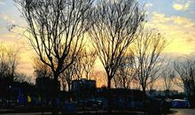 秋天最后的凝望