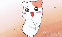 天使般的小侄女