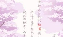 无怨的青春最美好