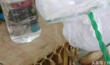 做人要有公德心