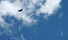 不曾改变的是追求