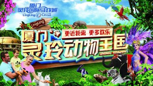 我走进了动物界