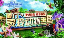 我走进了动物王国