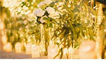 共享时代正温柔地来到这个世界