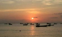 那是一朵美丽的浪花