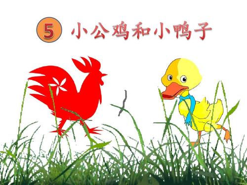 自以为是的小公鸡作文300字