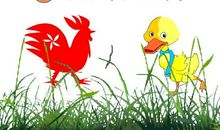 自以为是的小公鸡作文300字