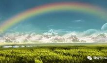 风雨过后的彩虹